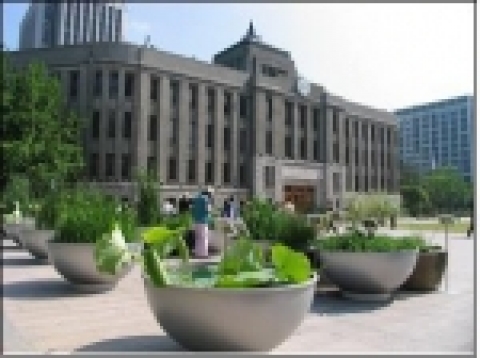 서울광장 “수생식물 전시장”수생식물 배치 전시모습