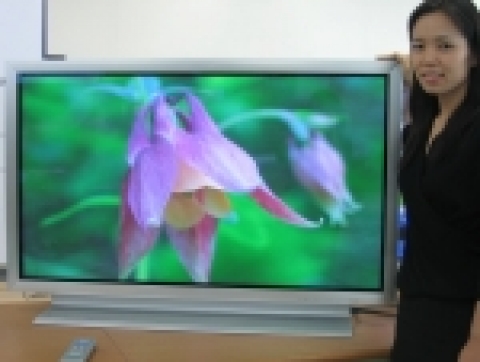 우성넥스티어는  5000:1 명암비의 50인치 PDP TV를 출시했다. 1천 칸데라의 밝기에 1억 칼라의 색상 표현이 가능하다. 또 연속정지화면일 때 화면밝기 자동 조절이 가능하며, 소비전력 또한 동급 최저인 390W 수준에 불과하다. 현재 20/26/32인치 LCD TV와 42인치 PDP TV 제품 라인을 보유하고 있던 우성넥스티어는 이번 제품 출시를 계기로 중대형 디지털TV의 풀 라인(full line)을 갖추게 되었다.