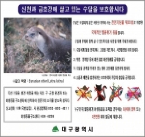 대구시는 『신천과 금호강에 서식하는 수달을 사랑합시다』수달보호 안내판을 제작하여 부착하고, 시설안전관리사업소와 북구청의 감시인력 10명을 증원 하는 등 보호대책이 하나씩 추진하고 있다