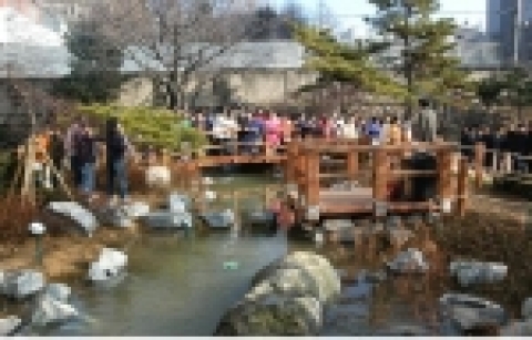 이대부속초등학교 공원화사업 공사 후