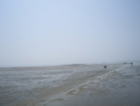 충남 서천군