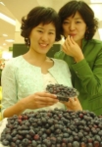 갤러리아백화점 명품관 식품매장에서 올해 첫 수확한 블루베리 생과일을 여성 고객들이 맛보고 있다.