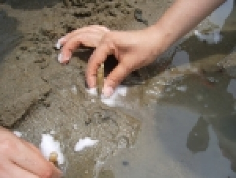 투어엣(www.tourat.com)에서는 한국어항협회(www.fipa.or.kr)와 공동으로 진행하는 아름다운 어촌찾아가기  제2회 아름다운 어촌 찾아가기 여행 단을 모집한다.