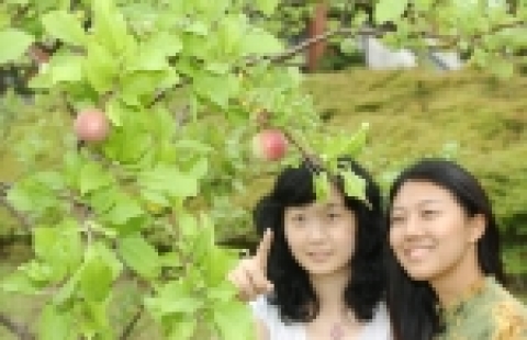 부경대 뉴턴의 사과나무에 열린 사과를 학생들이 신기한 듯 바라보고 있다.