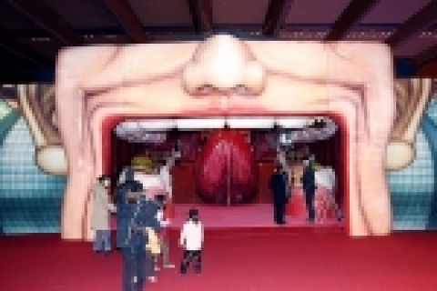 2005 대구 몸속탐험전 입구
