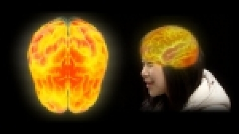 Q채널이 한국과학문화재단과 공동 기획. 제작한 3부작 특집기획 다큐멘터리 '또 하나의 우주, 뇌'가 방송위원회 "이 달의 좋은 프로그램"으로 선정되었다.