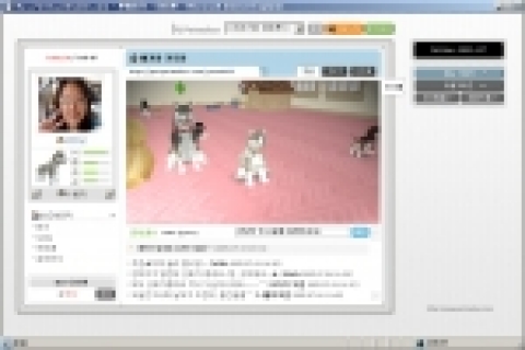 강아지와 성견을 함께 키우는 미니홈피