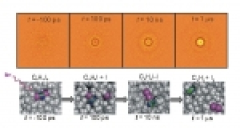 (위) 펨토초 레이저로 반응을 시작시킨 후, 극초단 펄스로 관찰하면 시간에 따라 변하는 회절 패턴을 얻을 수 있다. (아래) 이 신호를 분석하면 용액에서 벌어지는 분자들의 움직임을 생생하게 동영상으로 담아낼 수 있다.