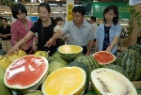 농촌진흥청 원예연구소는 본격적인 수박 소비 계절인 초복(初伏)을 맞아 수박의 부가가치 향상과 소비촉진을 위해 7월 14일부터 17일까지(4일간) 농협 수원하나로클럽에서 고창수박시험장, 농협수원유통센터와 공동으로 제2회 세계 희귀 수박 특별 전시회를 개최한다.