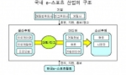 국내 e-스포츠 산업의 구조