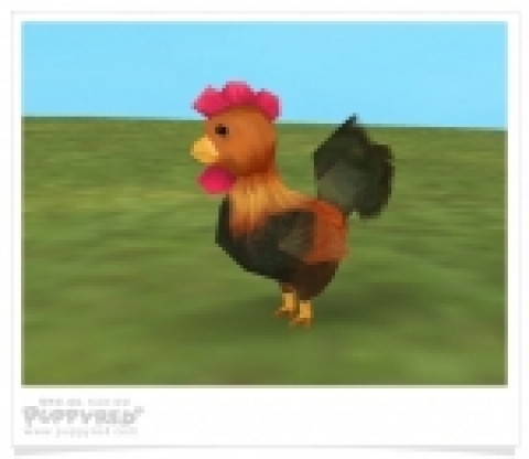 퍼피레드에서 선물하는 3D 검은꼬리 갈색 닭 아이템