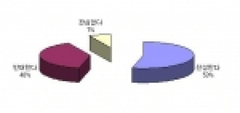 지난 7월 7 일부터 19일까지 국내 최대의 가격 비교 사이트 다나와 (대표 성장현 손윤환, www.danawa.com) 에서 진행한 설문 결과 네티즌의 53%는 인터넷 실명제에 