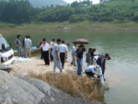 쏘가리 치어방류 장면