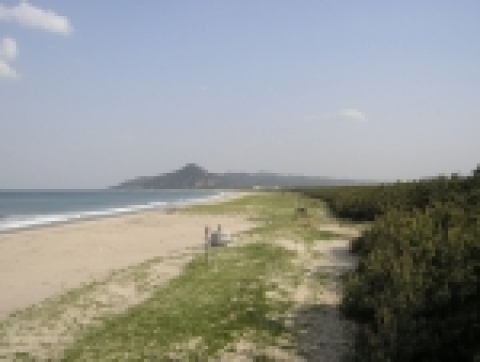 해안사구
