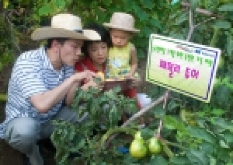 SK텔레콤이 고객과 가족이 함께 참여하여 다양한 혜택과 경험을 받을 수 있는 ‘가족참여 프로그램’을 본격적으로 전개한다.