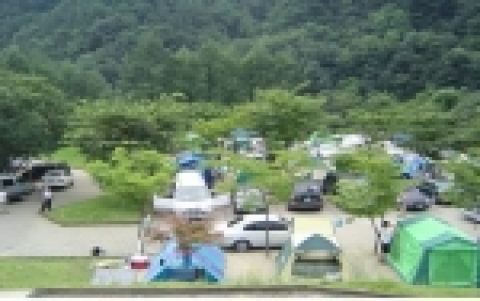 치악산국립공원 금대 오토캠핑장