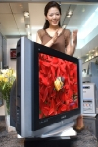 삼성전자가 국내 최초로 출시한 29인치 디지털 슬림 TV