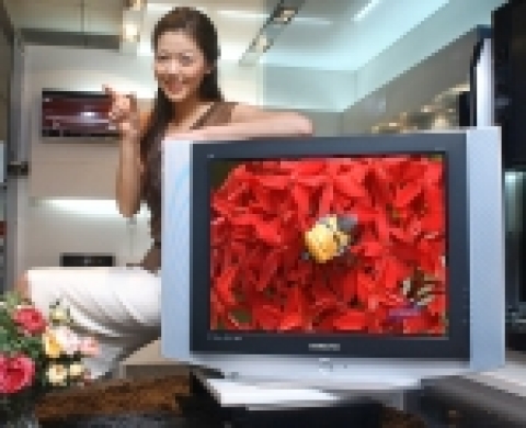 삼성전자가 국내 최초로 출시한 29인치 디지털 슬림 TV