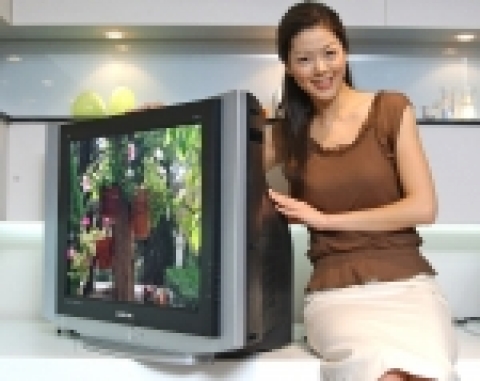 삼성전자가 국내 최초로 출시한 29인치 디지털 슬림 TV
