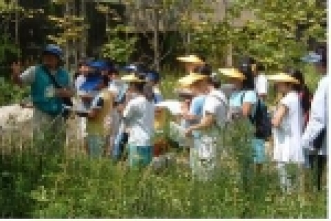 월드컵공원에서는 여름방학을 맞이하여 8월 1일부터 8월 26일까지 주 3회(화, 수, 목) 오전 10시~12시까지 학생 및 가족단위 대상으로 ‘여름방학 환경교실’ 특별프로그램을 운영한다.