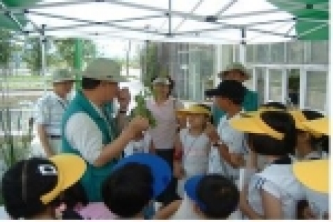 선유도 탐험교실에서는 선유도의 역사, 문화 등을 배우고 공원 내의 수생식물, 수목, 자생식물 등의 관찰한다.