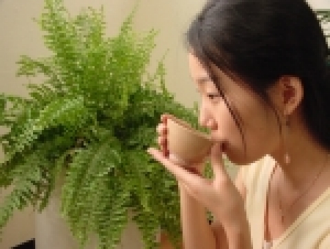 커피와 차 전문 쇼핑몰 코코비아(www.cocobia.co.kr)는 땀이 많이 나고 지치기 쉬운 여름철에 몸을 보호해주고 기력이 약해지는 것을 막아주는 한방차를 소개한다.