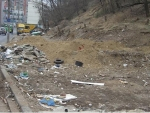 서울시 푸른도시국에서는 지난 2월부터 13개 구청별로 24ha에 달하는 훼손 산림을 생태적으로 가꾸는 도시생태림 사업을 해오고 있다. 관악구 조성사업 전의 모습