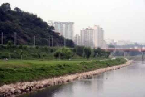 중랑천 하류 철새호보구역 전경
