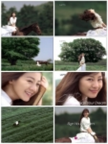 LG카드(대표 : 박해춘,www.lgcard.com)는 8월 1일부터‘Sign Your Dream’을 슬로건으로 한 새로운 광고캠페인을 전개한다.