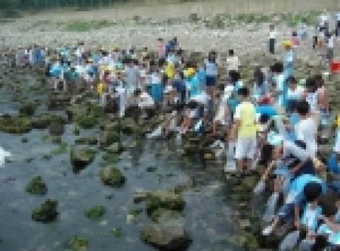 물고기 방류체험