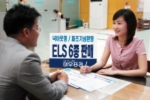 대우증권(사장 손복조)은 3일(수)부터 5일(금)까지“현대차 넉아웃형 등 ELS 6종”을 공모한다.