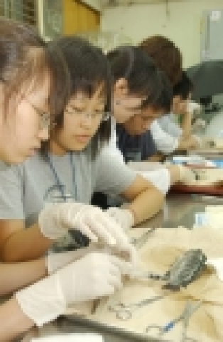 8월4일 부경대 대연캠퍼스에서 열린 부경대 여름수산학교에 참석한 중학생들이 물고기 해부 실험을 하고 있는 모습.