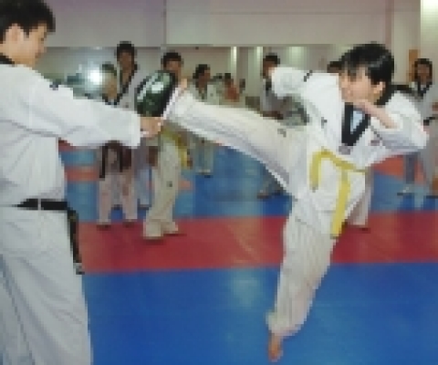 조선대학교가 일본 대학생들을 대상으로 개설한 2005 한국문화체험 프로그램 참가학생들이 8월 4일 오후 2시 체육대학 태권도연습실에서 한국의 국기인 태권도를 익히는 시간을 가졌다.