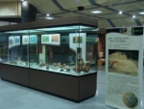 국립김해박물관(관장 김정완)은 최근 발굴된 중요 유적을 선정하여 “발굴유물의 첫선”전을 개최 한다.