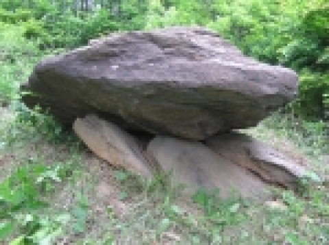 A군 1호 지석묘.