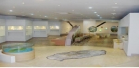 제주도 자연생태체험학습관에서는 도민 및 관광객의 환경교육 욕구 및 환경정보 수요 충족, 자연학습의 기회제공한다.