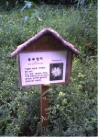 보라매공원에서 가지치기 한 나뭇가지를 활용해 시민들에게 나무와 꽃을 설명할 수 있는 꽃명찰을 자체 제작,설치했다.