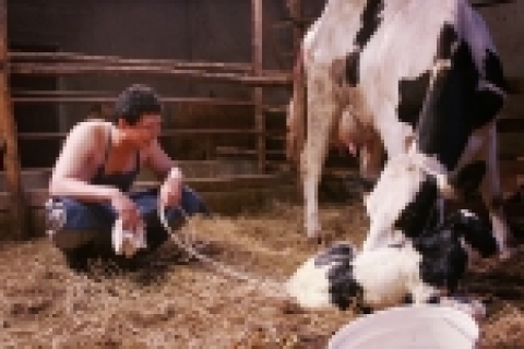 영화 &lt;너는 내 운명&gt;