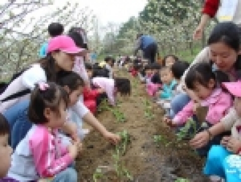 경기도내 농원 곳곳에서 잘 익은 열매를 손수 따고 줍고 캐는'수확체험'행사가 한창이다.