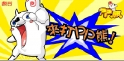 대만 ‘푸쉬베어’
