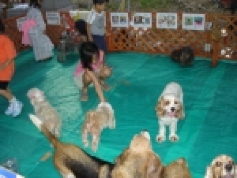 애견체험장