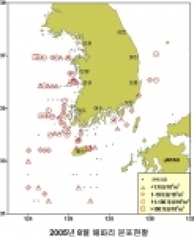 2005년 8월 해파리 분포현황