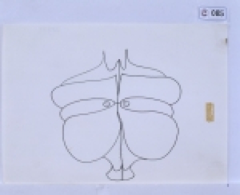 마산시 가고파문화센터에서는 지난 8월까지 생전 활동했던 모습을 담은 사진과 친필 원고를 통해 시민들에게 문신선생을 만날 수 있는 기회를 제공했던 문신미술관이 오는 9월 1일부터는 드로잉 작품을 통해 선생의 또 다른 모습을 엿볼 수 있는 기획전시회를 마련한다고 밝혔다.