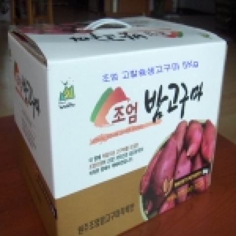 생밤고구마 5 Kg /무료배송/￦19,000
