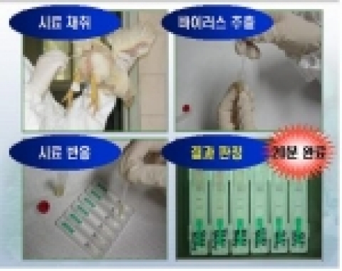 우수상에는 수의과학검역원 조류질병과의 ‘조류독감 현장적용 진단키트 개발’과 농림부 축산물위생과의 ‘쇠고기 이력추적시스템’이 선정되었다. 개발된 조류독감 진단키트
