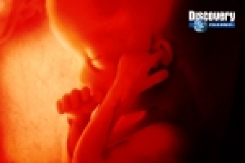 3부에 걸쳐 방영될 <인체 유람기>