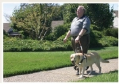 Michael Hingson(55세) & Guide Dog "Roselle(♀, 7살)