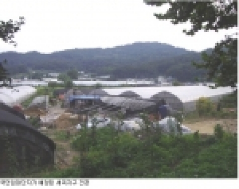 국민임대단지가예정된 세곡지구전경