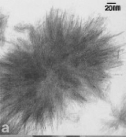 20NM 크기로 본 NCI 광촉매의 침상형 나노 입자 모습