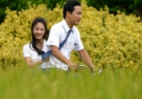 영화 <파랑주의보>